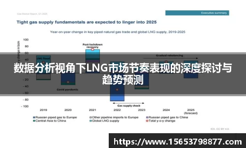数据分析视角下LNG市场节奏表现的深度探讨与趋势预测